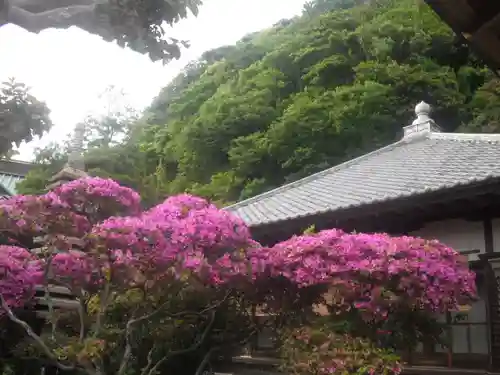 安養院　(田代寺）の芸術