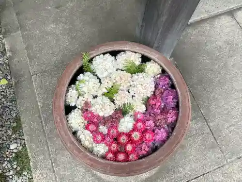 常念寺(愛知県)