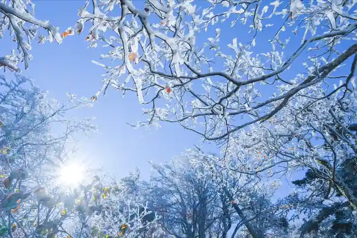 弥山神社(天河大辨財天社奥宮)(奈良県)