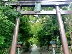 大井神社の鳥居