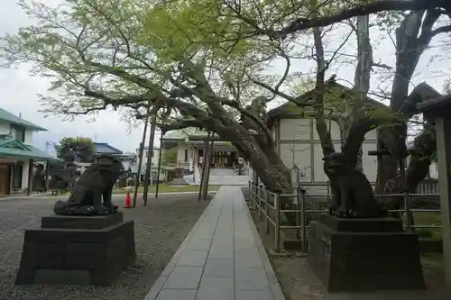 豊受神社の狛犬