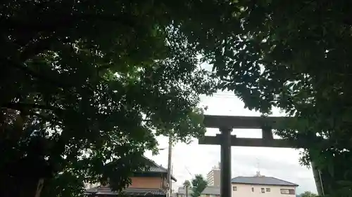 尾張大國霊神社（国府宮）の自然
