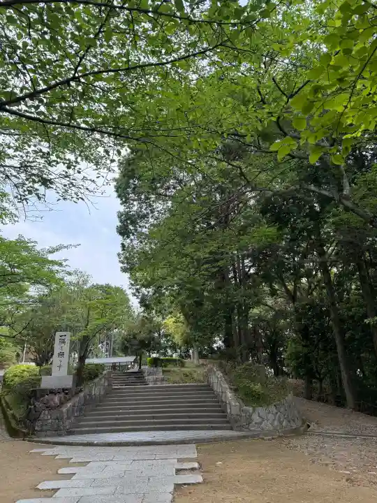 圓教寺の{uncategorized: "未分類", other: "その他", undefined: "問題あり", building: "その他建物", grave: "お墓", sacred_gate: "鳥居", guardian: "狛犬", statue: "像", buddha: "仏像", history: "歴史", nature: "自然", garden: "庭園", animal: "動物", pagoda: "塔", temizu: "手水舎", mountain_gate: "山門・神門", sanctuary: "本殿・本堂", subordinate: "末社・摂社", art: "芸術", scenery: "景色", jizo: "地蔵", ema: "絵馬", goshuin: "御朱印", omikuji: "おみくじ", items: "授与品その他", amulet: "お守り", goshuincho: "御朱印帳", eats: "食事", festival: "お祭り", votive_dance: "神楽", shichigosan: "七五三参", wedding: "結婚式", experience: "体験その他", initially: "初詣", around: "周辺", anti_infection: "感染症対策"}