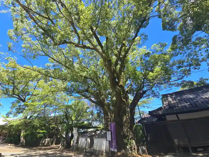 藤白神社(和歌山県)