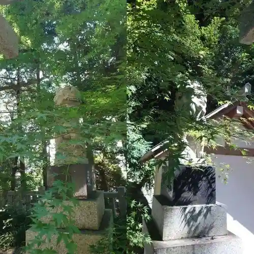 泉神社(茨城県)