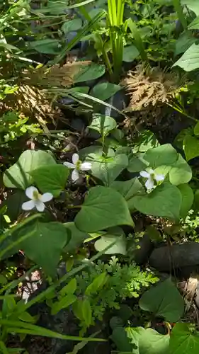 宝蔵寺(京都府)