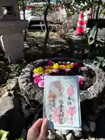 仙台大神宮の御朱印