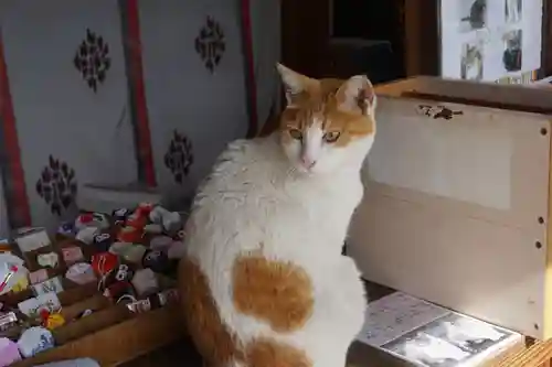 前玉神社の動物