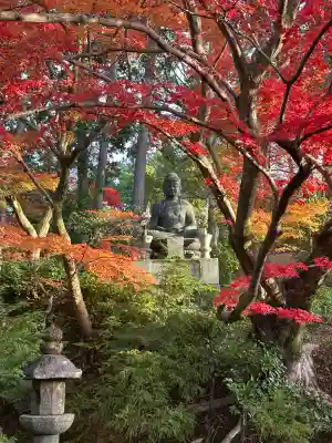 榮攝院（栄摂院）(京都府)