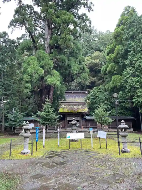 若狭姫神社(若狭彦神社下社)(福井県)