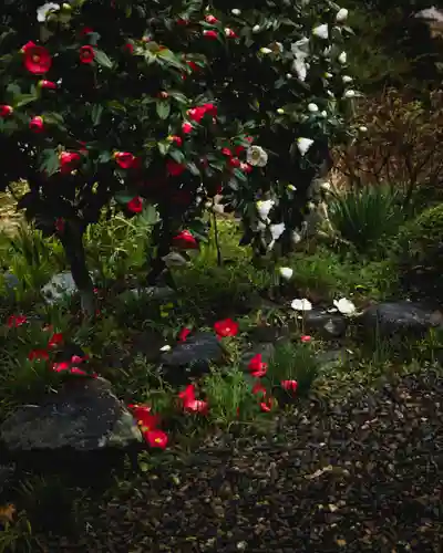 一乗院(開運出世筑波不動尊) (茨城県)