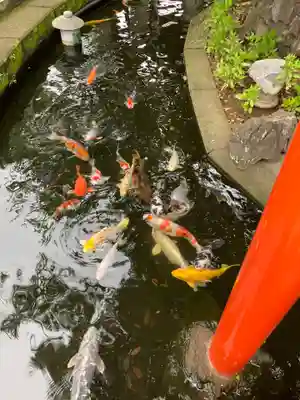 相模国総社六所神社(神奈川県)