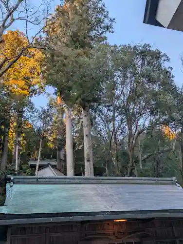 丹生川上神社（下社）の{uncategorized: "未分類", other: "その他", undefined: "問題あり", building: "その他建物", grave: "お墓", sacred_gate: "鳥居", guardian: "狛犬", statue: "像", buddha: "仏像", history: "歴史", nature: "自然", garden: "庭園", animal: "動物", pagoda: "塔", temizu: "手水舎", mountain_gate: "山門・神門", sanctuary: "本殿・本堂", subordinate: "末社・摂社", art: "芸術", scenery: "景色", jizo: "地蔵", ema: "絵馬", goshuin: "御朱印", omikuji: "おみくじ", items: "授与品その他", amulet: "お守り", goshuincho: "御朱印帳", eats: "食事", festival: "お祭り", votive_dance: "神楽", shichigosan: "七五三参", wedding: "結婚式", experience: "体験その他", initially: "初詣", around: "周辺", anti_infection: "感染症対策"}