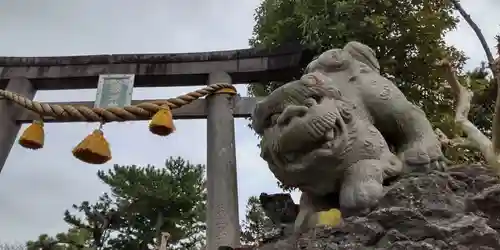 八雲神社の狛犬