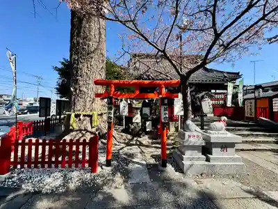 鴻神社(埼玉県)