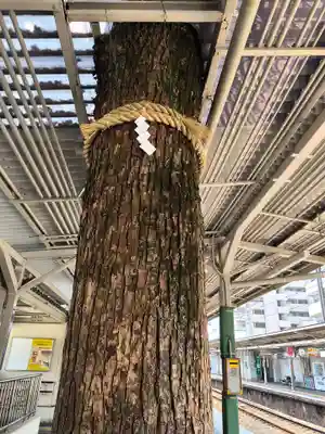 足の神様 服部天神宮(大阪府)