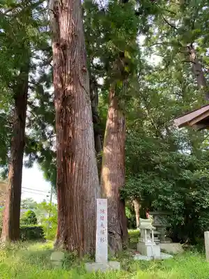 大戸神社の自然
