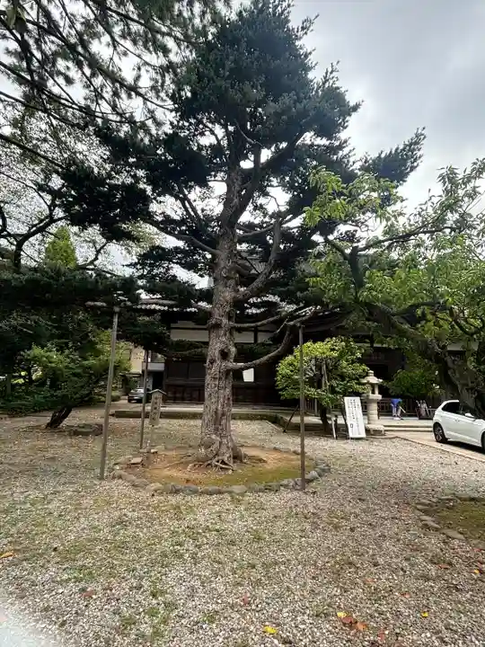 如来寺(石川県)