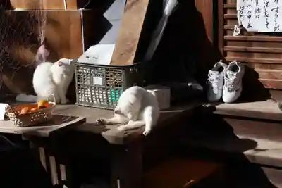 梅宮大社(京都府)