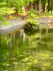 関山神社(新潟県)