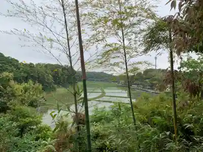 日枝神社(千葉県)
