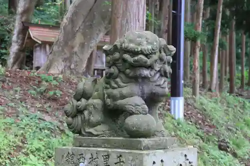 白幡八幡神社の狛犬