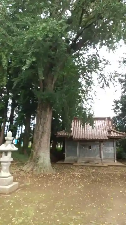 鹿島神社(茨城県)