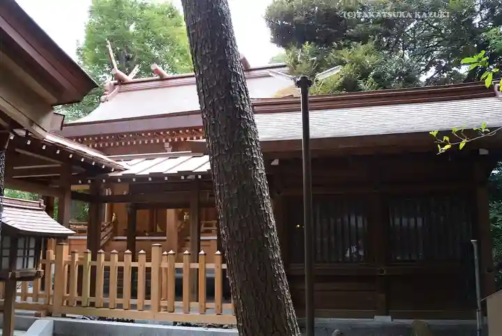 國學院大學神殿(東京都)