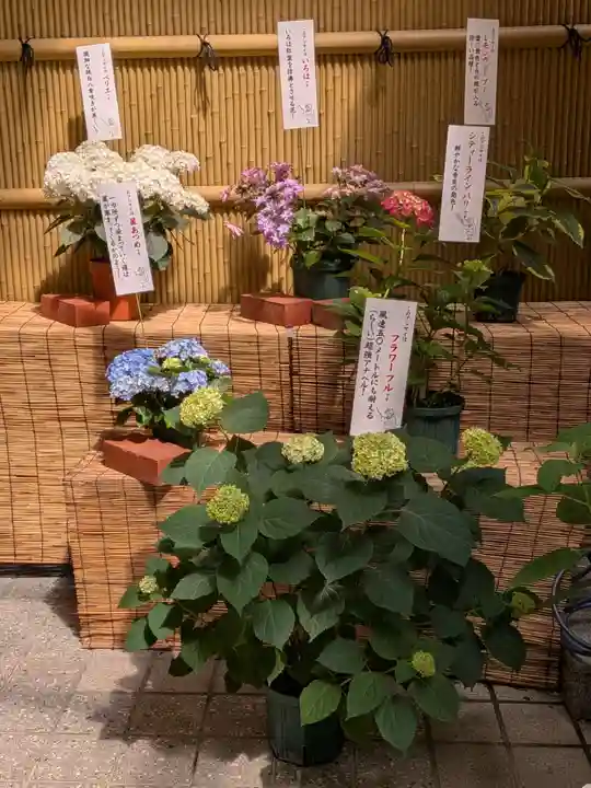 十番稲荷神社(東京都)
