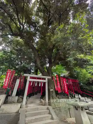 乃木神社(東京都)