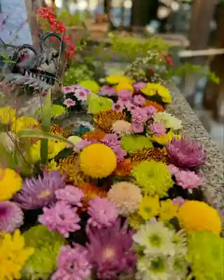 札幌諏訪神社の手水舎