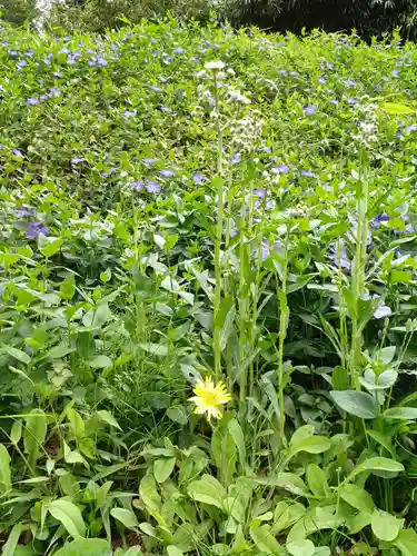 白狐山光星寺(山形県)