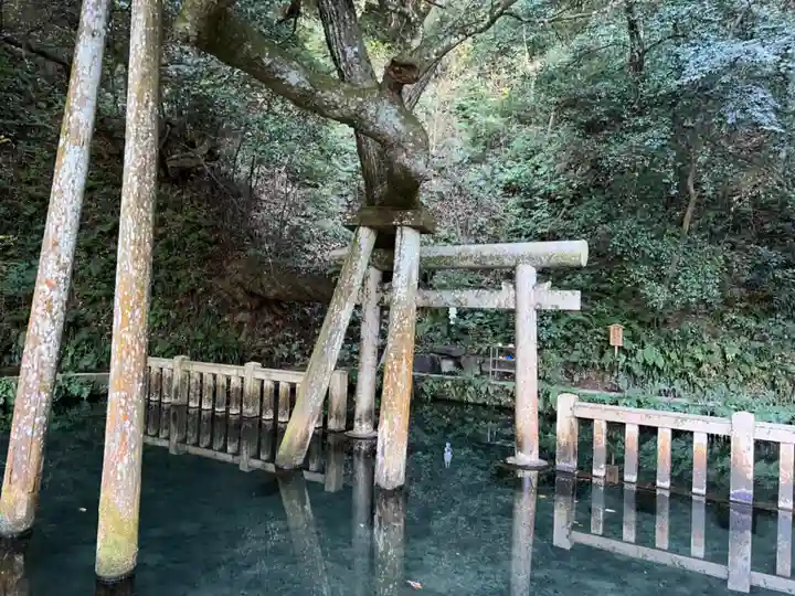 鹿島神宮(茨城県)
