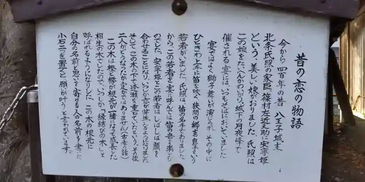 熊野神社(東京都)