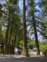 諏訪大社(長野県)