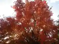 弘法寺(山口県)