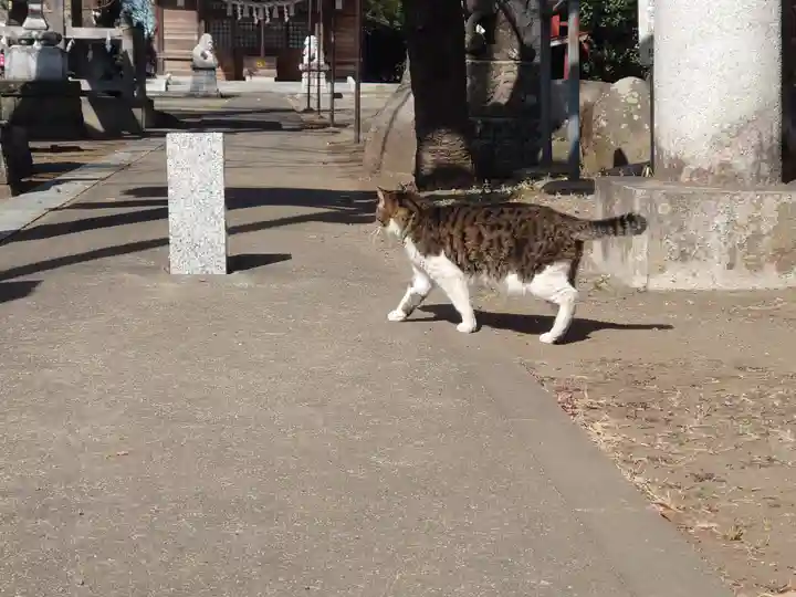 下溝八幡宮(神奈川県)