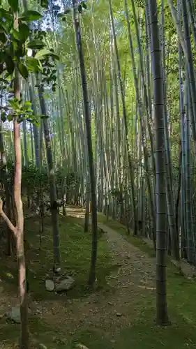 滝口寺(京都府)