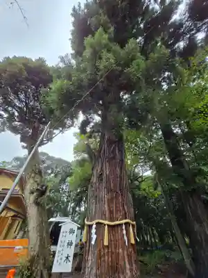 息栖神社(茨城県)