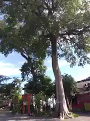 神館飯野高市本多神社(三重県)