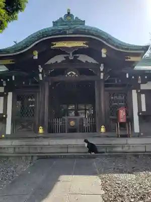 白金氷川神社の本殿・本堂