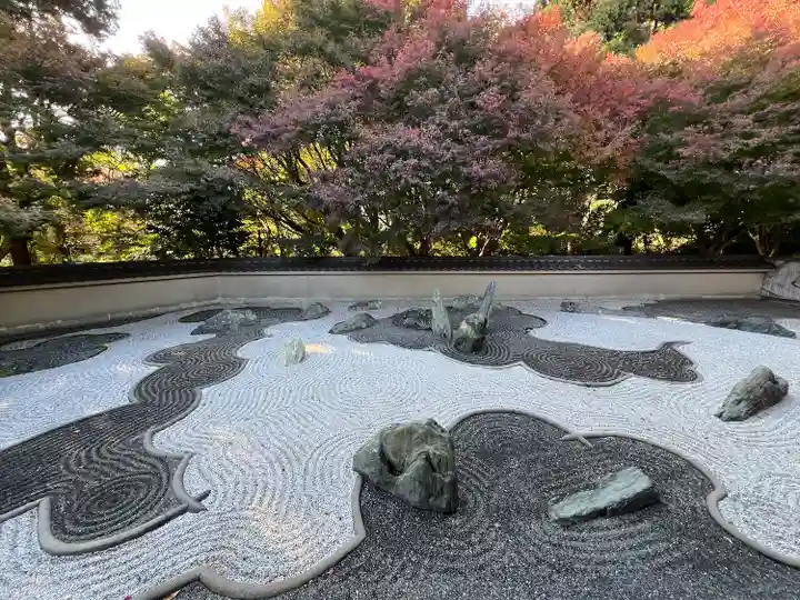 龍吟庵(竜吟庵)(京都府)