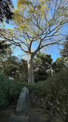 誉田八幡宮(大阪府)