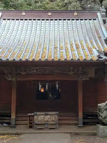 渡海神社の本殿・本堂