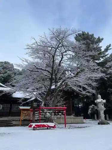 群馬県護国神社(群馬県)