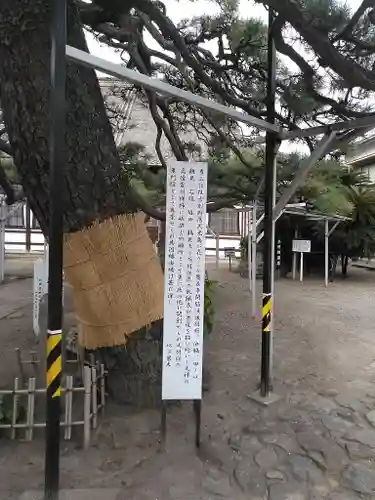 海門寺の庭園