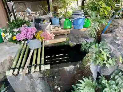 無量寺の{uncategorized: "未分類", other: "その他", undefined: "問題あり", building: "その他建物", grave: "お墓", sacred_gate: "鳥居", guardian: "狛犬", statue: "像", buddha: "仏像", history: "歴史", nature: "自然", garden: "庭園", animal: "動物", pagoda: "塔", temizu: "手水舎", mountain_gate: "山門・神門", sanctuary: "本殿・本堂", subordinate: "末社・摂社", art: "芸術", scenery: "景色", jizo: "地蔵", ema: "絵馬", goshuin: "御朱印", omikuji: "おみくじ", items: "授与品その他", amulet: "お守り", goshuincho: "御朱印帳", eats: "食事", festival: "お祭り", votive_dance: "神楽", shichigosan: "七五三参", wedding: "結婚式", experience: "体験その他", initially: "初詣", around: "周辺", anti_infection: "感染症対策"}