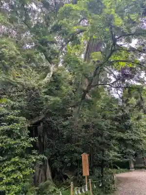 香取神宮(千葉県)