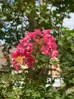 白鷺神社の自然