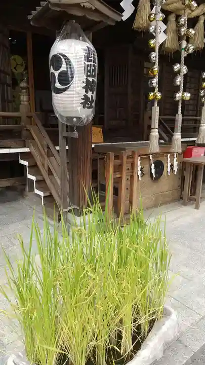 常陸第三宮 吉田神社(茨城県)